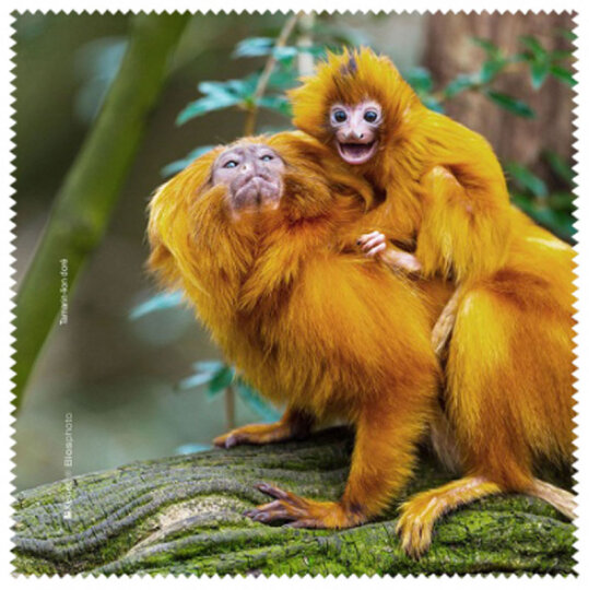 La Kelnet Microfasertuch -Animal II - Goldene Löwenäffchen