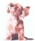 Mikrofasertuch mit Motiv  Hund hört Musik  17,5 x 15,0 cm