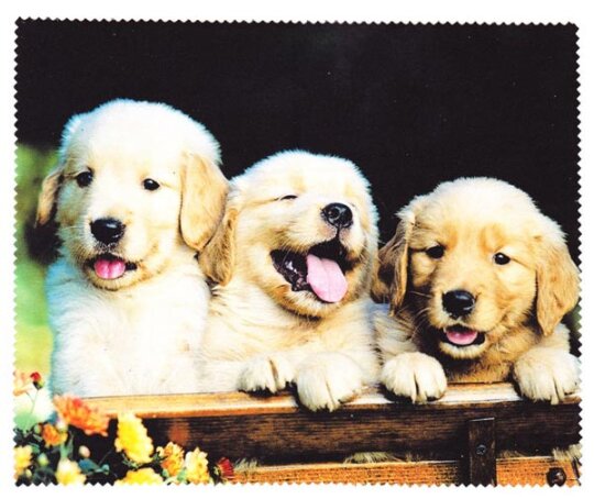 wunderschöne Tier-Microfasertuch mit Motiv - 3 Hunde