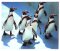 wunderschönes Tier-Microfasertuch mit Motiv - Pinguin