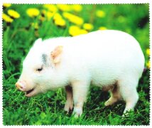 wunderschönes Tier-Microfasertuch mit Motiv - Schwein
