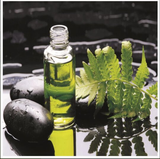 LaClean Microfasertuch "Farn"