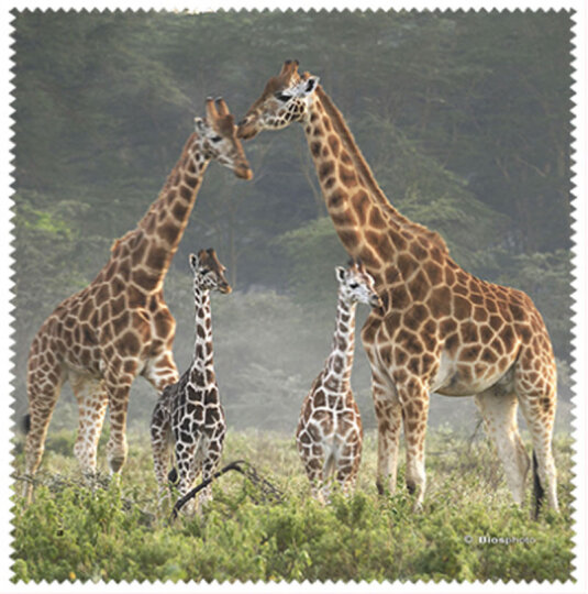 La Kelnet Microfasertuch - Animal Babies - Giraffen