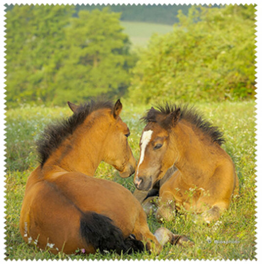 La Kelnet Microfasertuch - Animal Babies - Fohlen