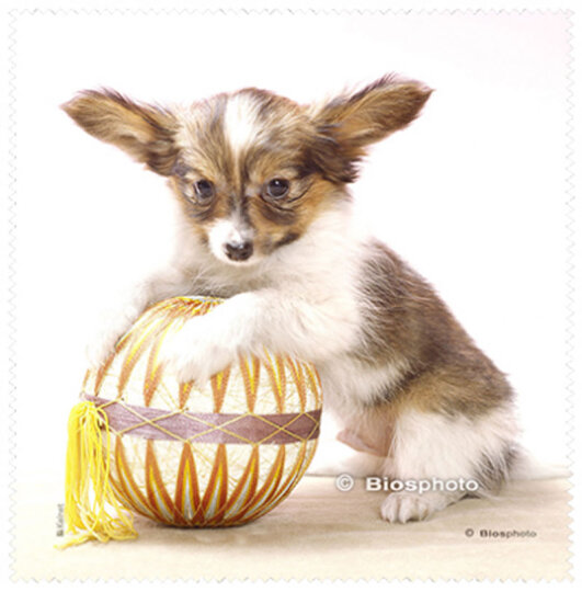 La Kelnet Microfasertuch - Animal Babies - Hund mit Ball
