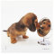 La Kelnet Microfasertuch - Animal Babies - Hund im Spiegel