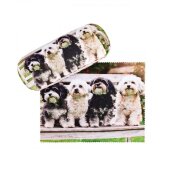 niedliches Brillenetui mit weichem Microfaserbezug und Microfasertuch - BOLONKA