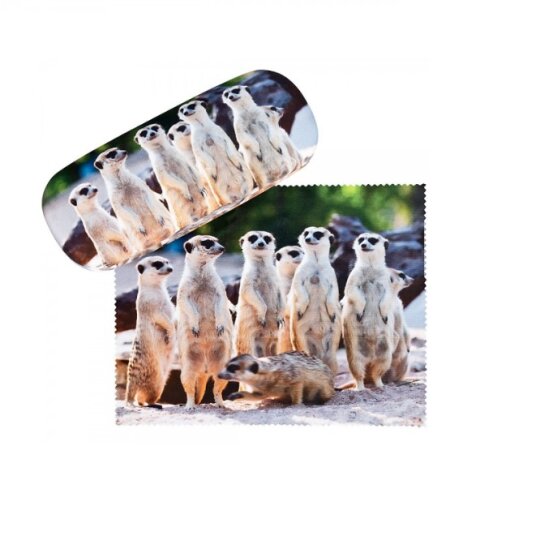 niedliches Brillenetui mit weichem Microfaserbezug und Microfasertuch - ERDMÄNNCHEN