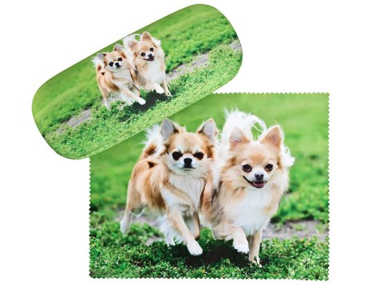 niedliches Hartschalen-Etui mit Microfaserbezug und passendem Tuch - "CHIHUAHUAS"