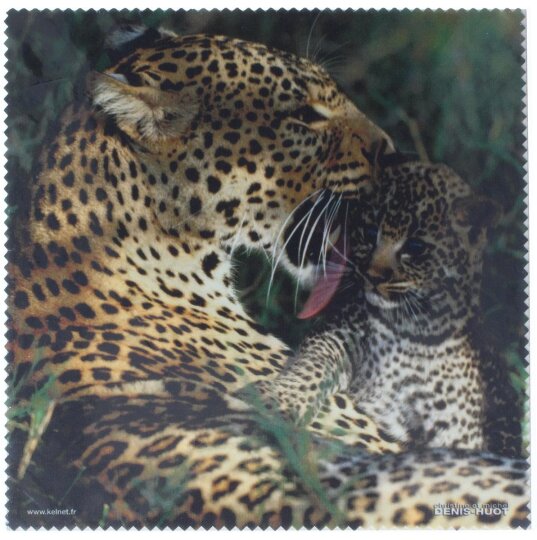 La Kelnet Motiv-Microfasertuch - ANIMAL - Leoparden