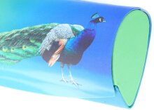 Schönes Hartschalen-Etui PFAU mit Magnetverschluss...