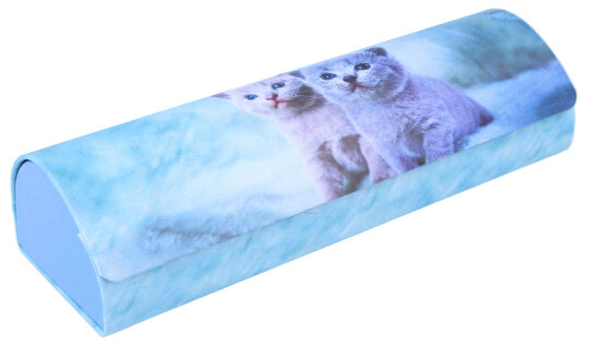 Handliches Hartschalen-Brillenetui "Cats" mit niedlichem Kitten-Motiv