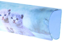 Handliches Hartschalen-Brillenetui "Cats" mit...