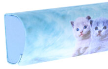 Handliches Hartschalen-Brillenetui "Cats" mit niedlichem Kitten-Motiv