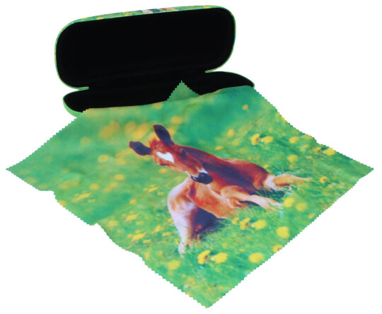 Wunderschönes FOHLEN-Motivetui mit passendem Microfasertuch