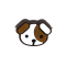 Hund